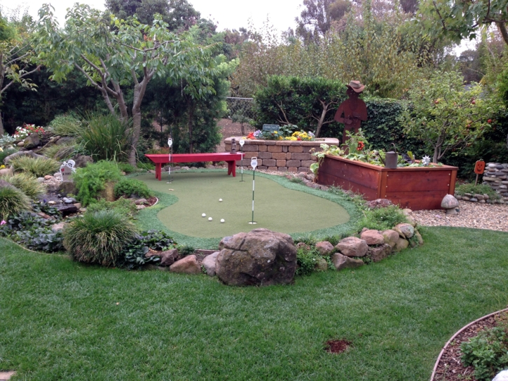 Artificial Turf Center Line, Michigan Indoor Putting Greens, Backyard Makeover