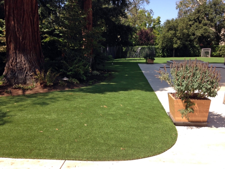 Artificial Turf Cost Clifford, Michigan Dog Grass, Front Yard Landscape Ideas