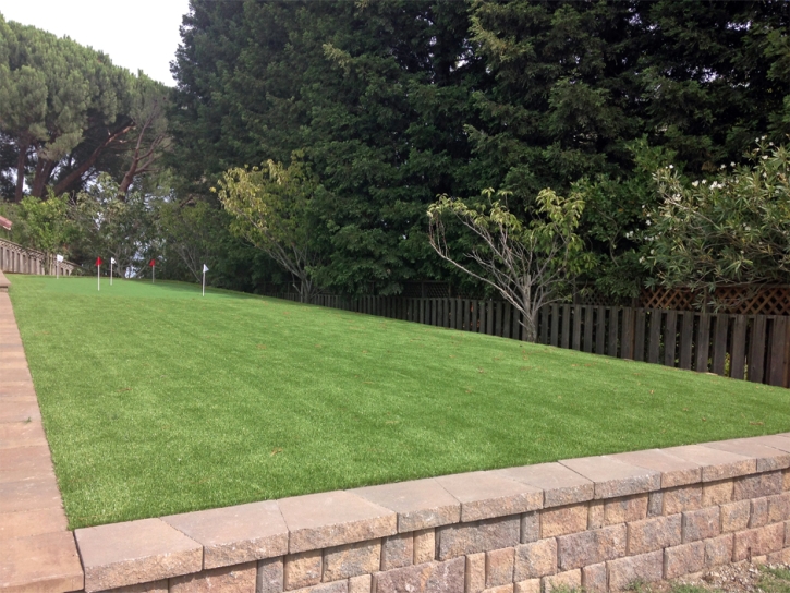 Artificial Turf Cost Edwardsburg, Michigan Putting Green Grass, Backyard Design