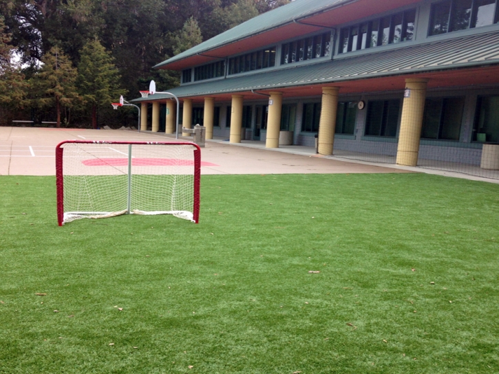 Artificial Turf Cost Saranac, Michigan Stadium, Commercial Landscape