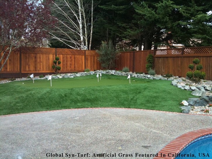 Artificial Turf Cost Wyandotte, Michigan Design Ideas, Backyard Ideas