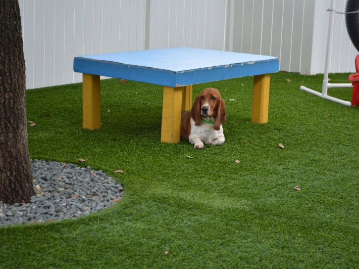 Artificial Turf Installation Caseville, Michigan Artificial Turf For Dogs, Dog Kennels