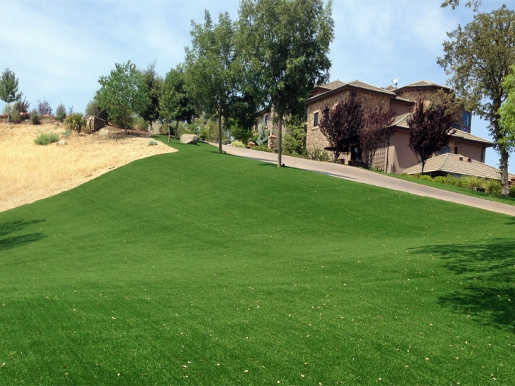 Artificial Turf Installation Mount Morris, Michigan Landscaping Business, Front Yard Landscaping