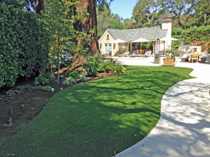 Artificial Turf Morrice, Michigan Backyard Playground, Commercial Landscape
