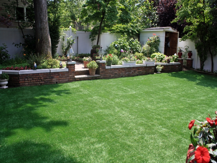 Artificial Turf Saint Johns, Michigan Home And Garden, Backyard