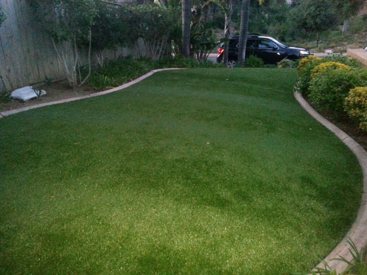 Artificial Turf Sherwood, Michigan Landscape Photos, Front Yard Ideas