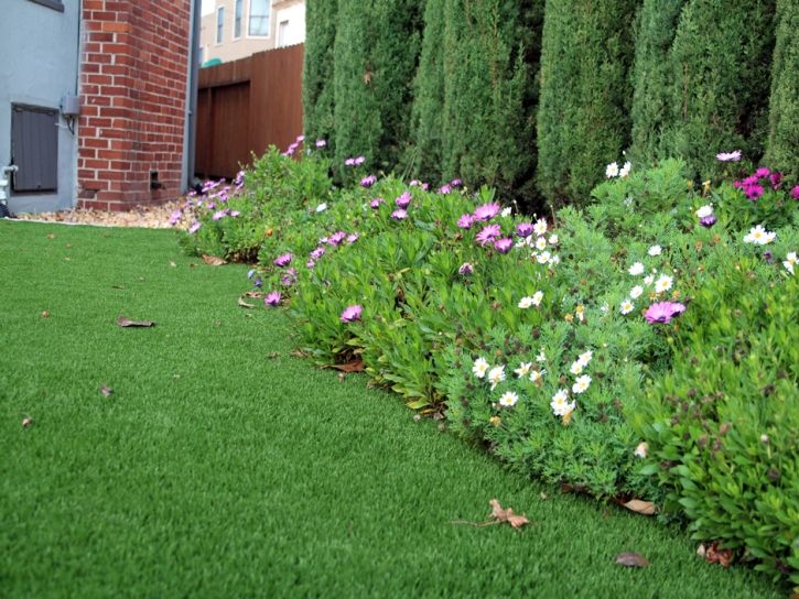 Best Artificial Grass Corunna, Michigan Landscaping Business, Landscaping Ideas For Front Yard
