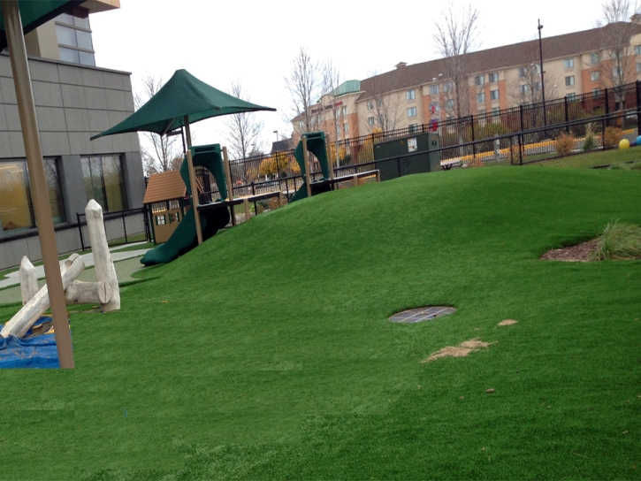 Best Artificial Grass Grosse Ile, Michigan Playground, Commercial Landscape