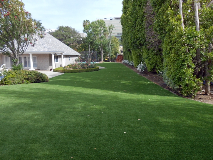 Best Artificial Grass Sanford, Michigan Landscape Design, Front Yard Landscape Ideas