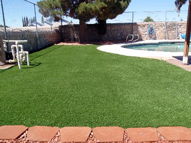 Fake Grass Capac, Michigan Rooftop, Natural Swimming Pools