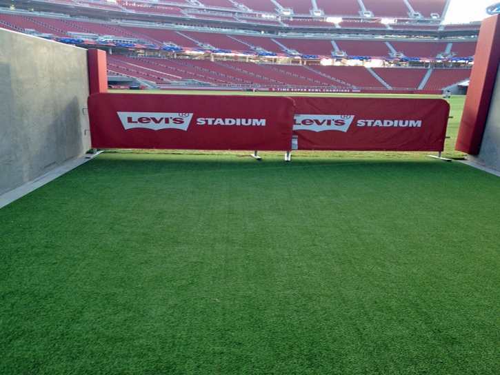 Fake Grass Carpet Elsie, Michigan Football Field