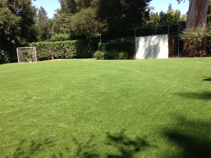 Fake Grass Carpet Fruitport, Michigan Sports Athority, Backyard Ideas