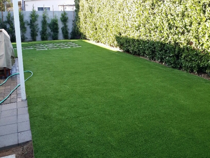 Fake Grass Carpet Grand Rapids, Michigan Cat Playground, Backyard Garden Ideas