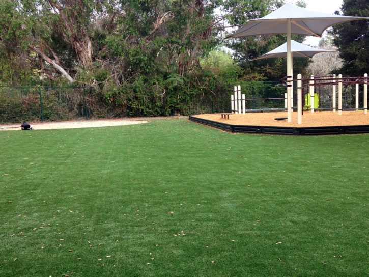 Fake Grass Carpet Port Austin, Michigan Playground Turf