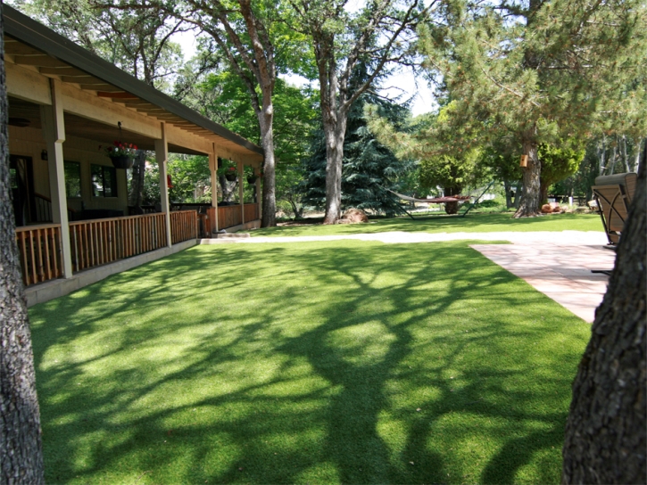 Fake Grass Carpet Wacousta, Michigan Lawn And Garden, Backyard Designs