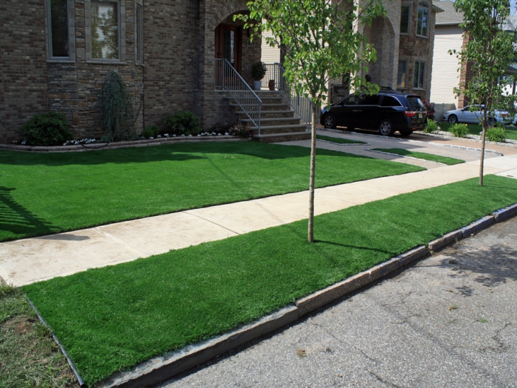 Fake Grass DeWitt, Michigan Garden Ideas, Front Yard Landscaping