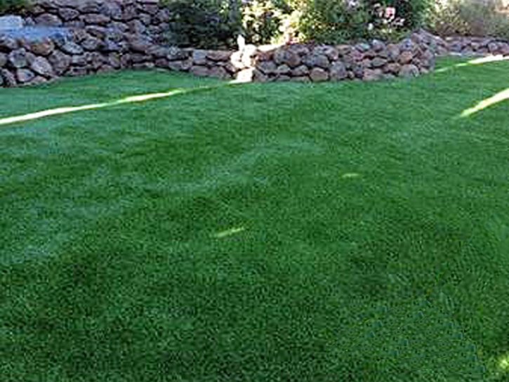 Fake Lawn Caseville, Michigan Drainage, Small Backyard Ideas