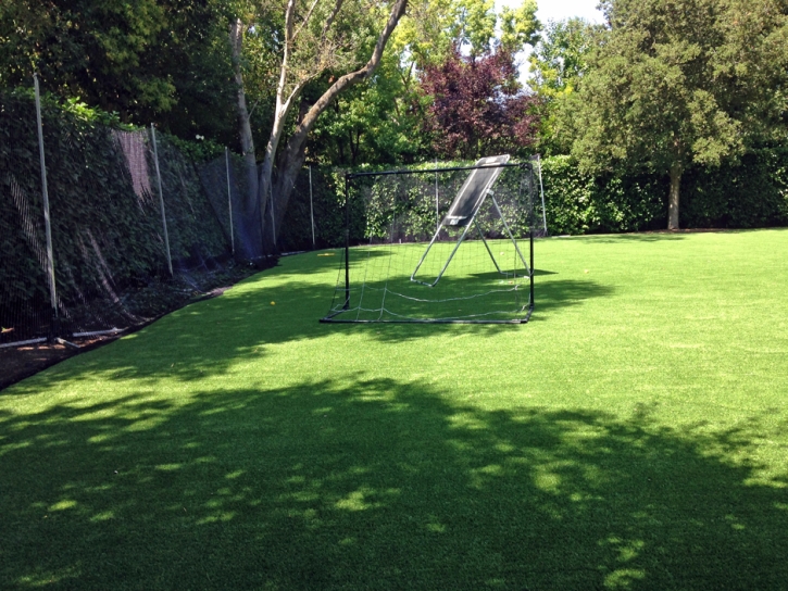 Fake Lawn Pewamo, Michigan Stadium, Backyard Landscape Ideas