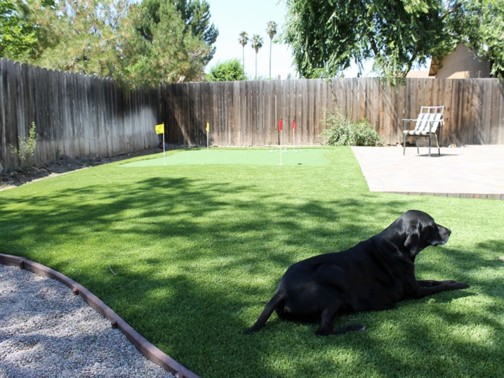 Fake Turf Bay City, Michigan Gardeners, Grass for Dogs