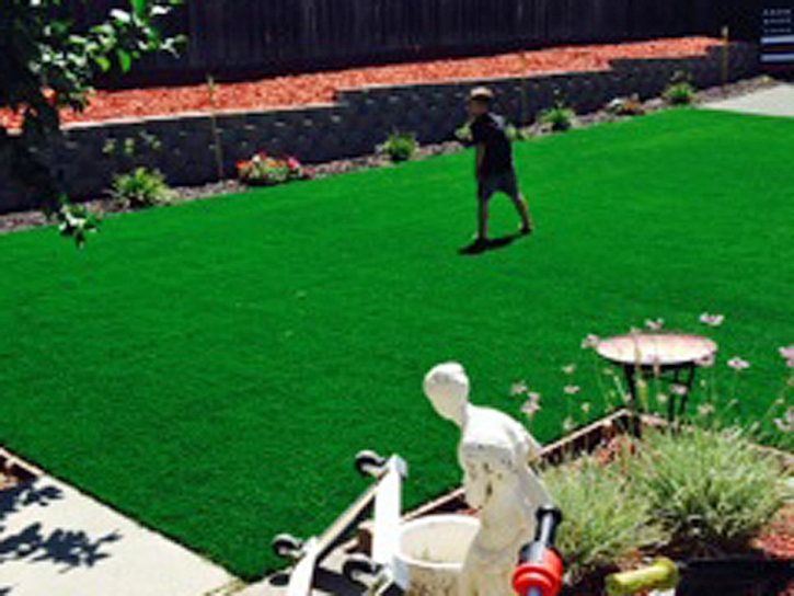 Fake Turf Climax, Michigan Garden Ideas, Beautiful Backyards
