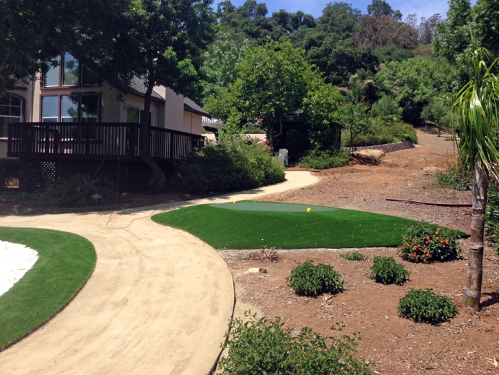 Fake Turf North Branch, Michigan Putting Green Flags, Front Yard Landscape Ideas