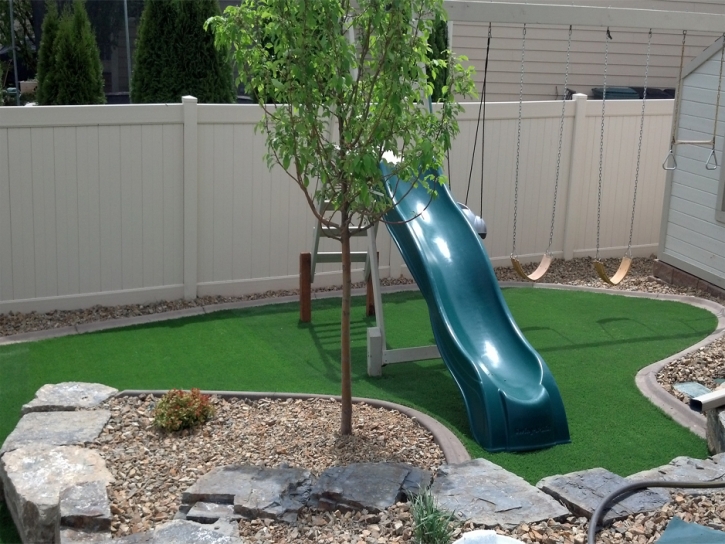 Fake Turf Wacousta, Michigan Backyard Playground, Backyard Garden Ideas