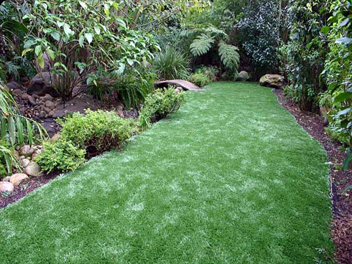 Fake Turf Westwood, Michigan Landscaping Business, Backyard