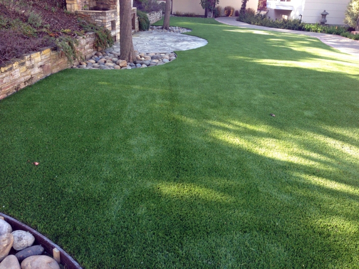 Faux Grass Madison Heights, Michigan Hotel For Dogs, Backyard Makeover