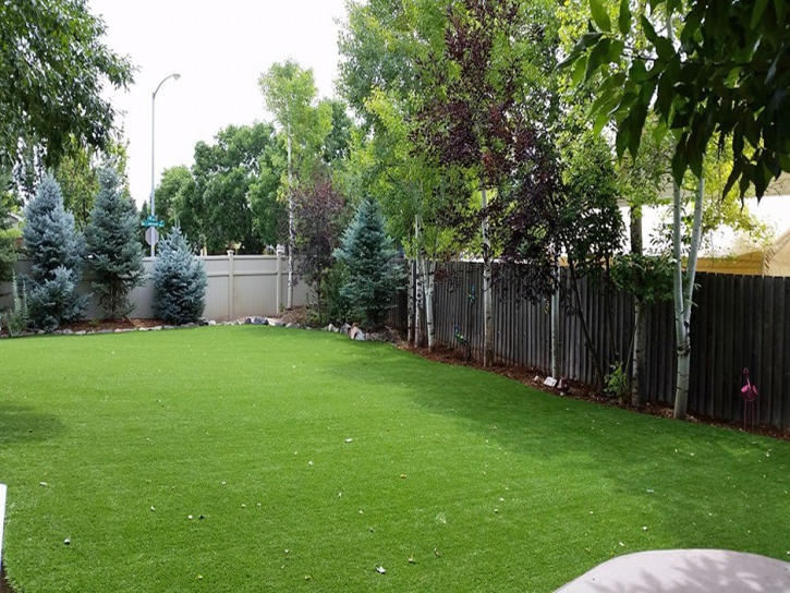 Faux Grass Montrose, Michigan Dog Hospital, Backyard Designs