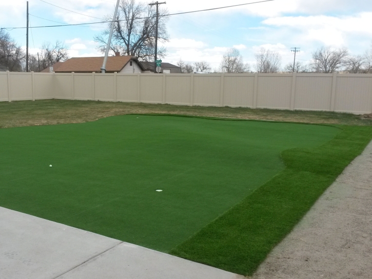 Faux Grass Pigeon, Michigan Artificial Putting Greens, Beautiful Backyards