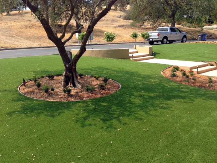 Faux Grass Springfield, Michigan Roof Top, Landscaping Ideas For Front Yard