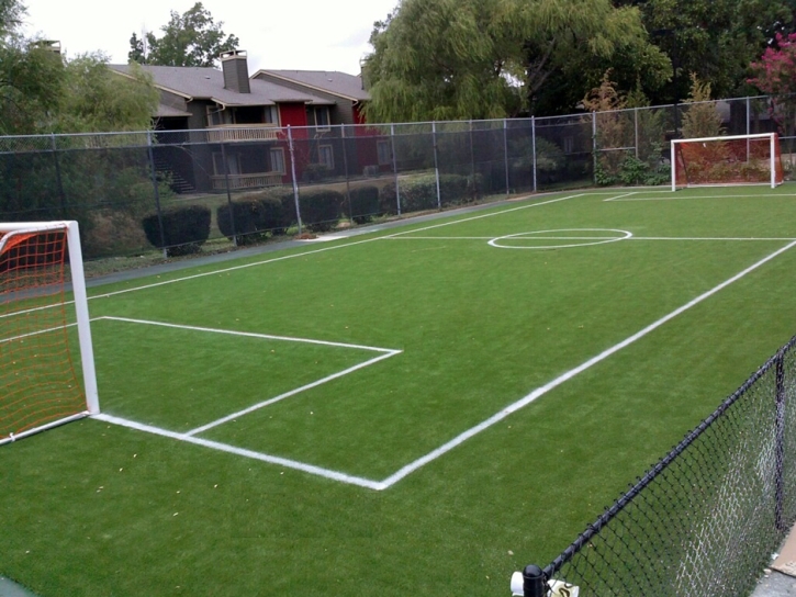 Grass Carpet Gaines, Michigan High School Sports, Commercial Landscape