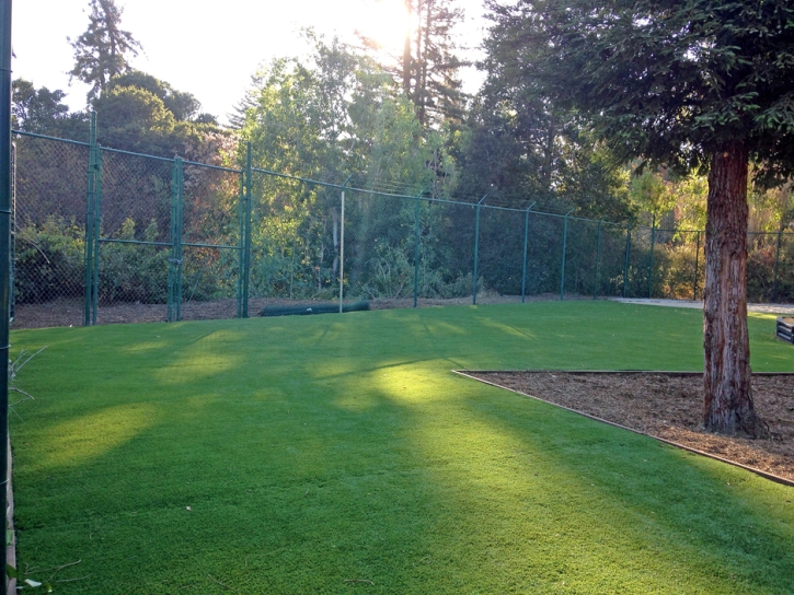 Grass Installation Corunna, Michigan Playground Flooring, Parks