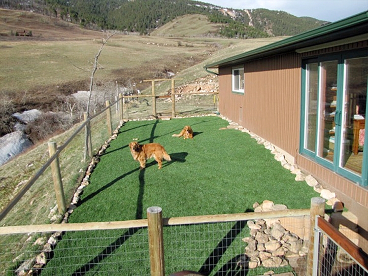 Grass Installation Estral Beach, Michigan Landscaping Business, Dogs