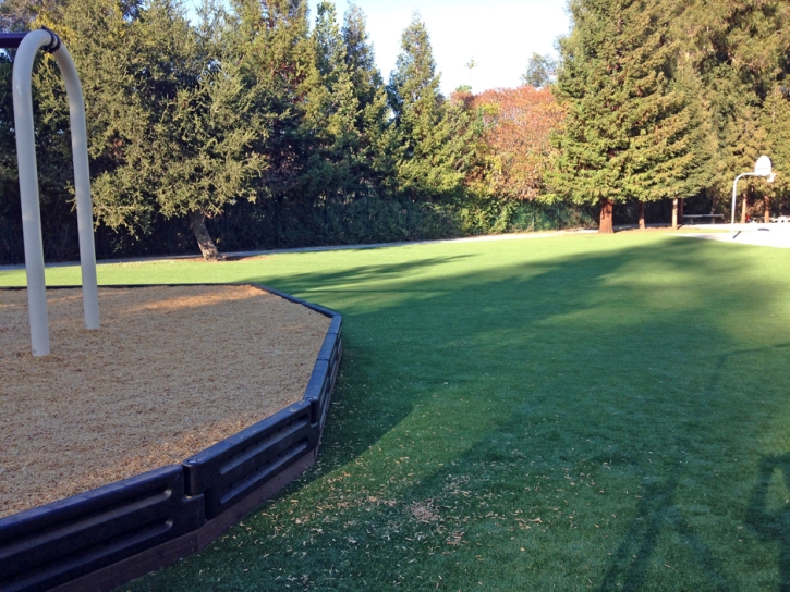 Grass Installation Memphis, Michigan Backyard Playground, Recreational Areas