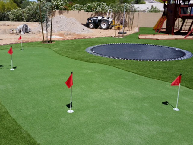 Grass Turf Augusta, Michigan Office Putting Green, Beautiful Backyards