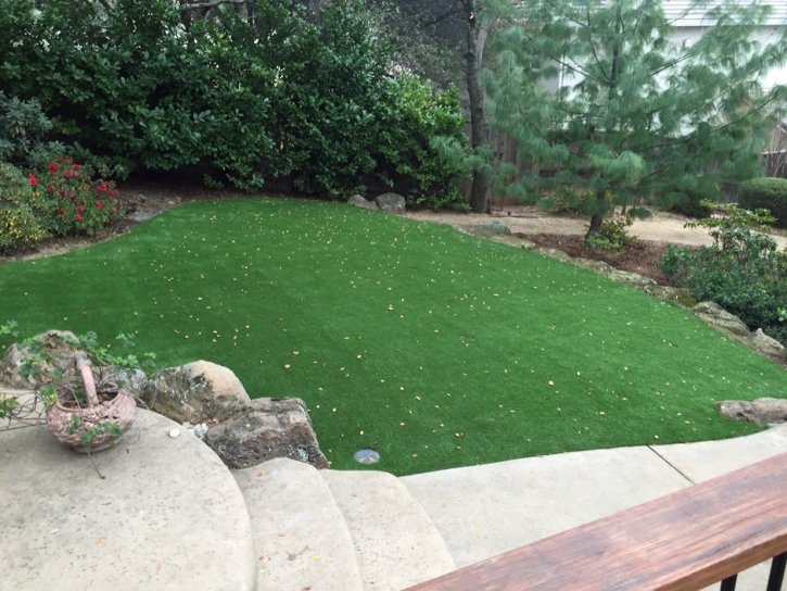 Grass Turf Camden, Michigan Roof Top, Backyard Garden Ideas