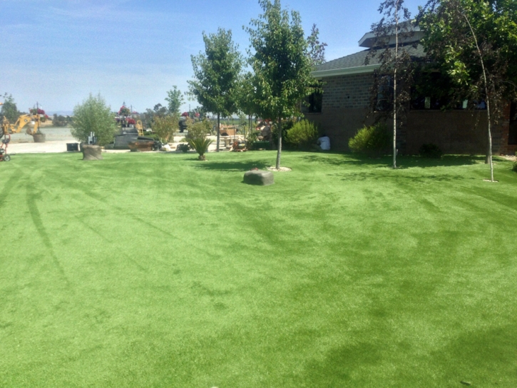 Grass Turf Deerfield, Michigan Pet Turf, Recreational Areas