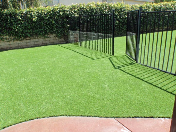 Grass Turf Henderson, Michigan Artificial Turf For Dogs, Front Yard