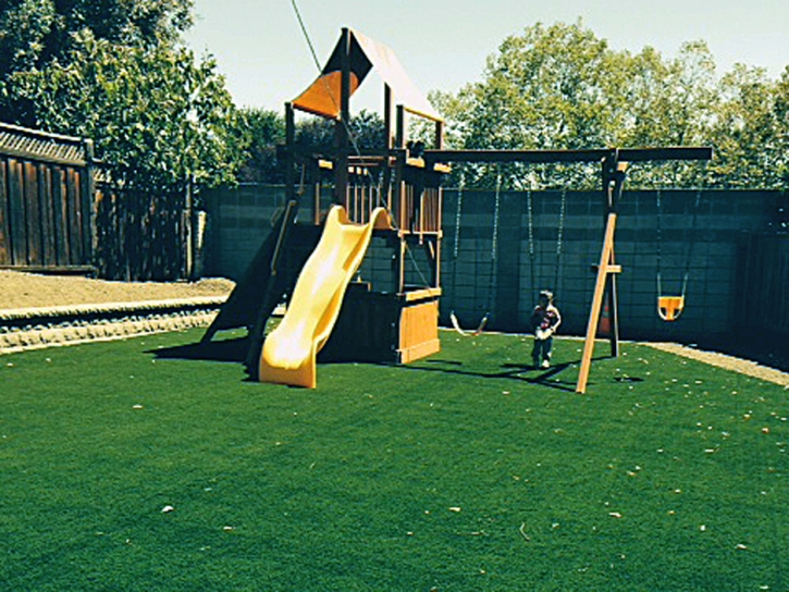 Grass Turf Saint Louis, Michigan Roof Top, Backyard Design