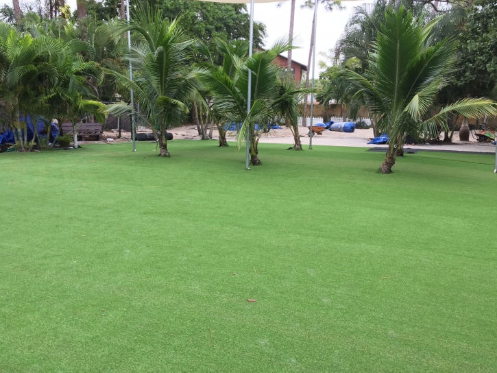 Grass Turf Sanford, Michigan Roof Top, Commercial Landscape