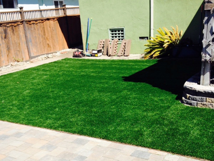 How To Install Artificial Grass Sheridan, Michigan Dog Park, Beautiful Backyards