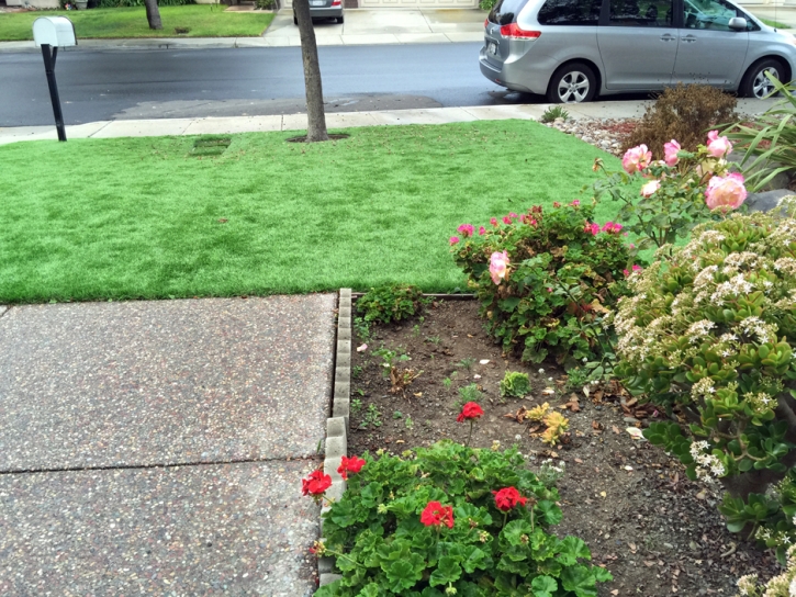 Installing Artificial Grass Argentine, Michigan Landscape Photos, Front Yard