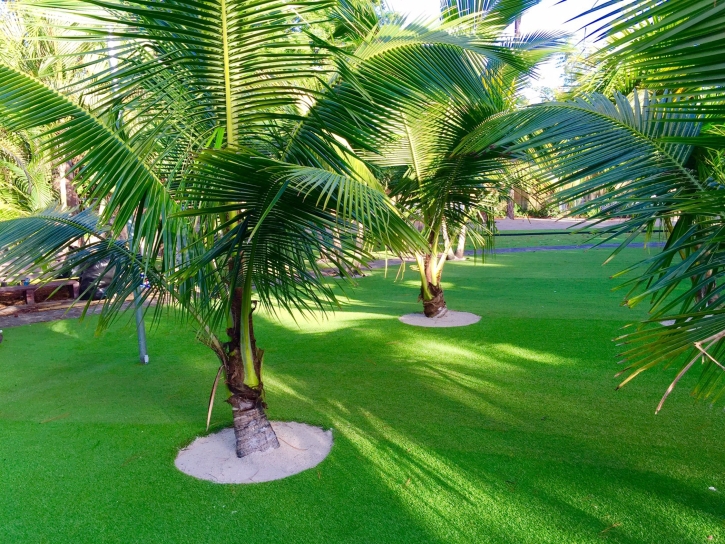 Installing Artificial Grass Harbor Beach, Michigan Gardeners, Commercial Landscape