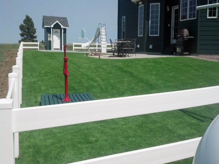 Installing Artificial Grass Portland, Michigan Roof Top, Front Yard