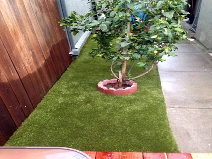 Outdoor Carpet Deckerville, Michigan Artificial Grass For Dogs, Backyards