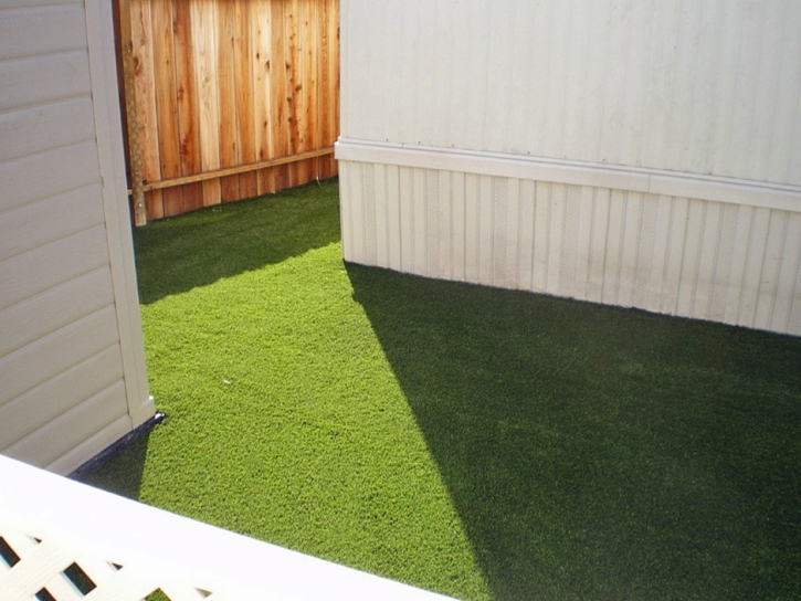 Outdoor Carpet Flint, Michigan Pet Grass, Small Backyard Ideas