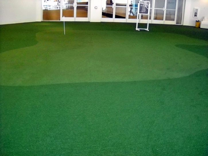 Outdoor Carpet Taylor, Michigan Home Putting Green, Commercial Landscape