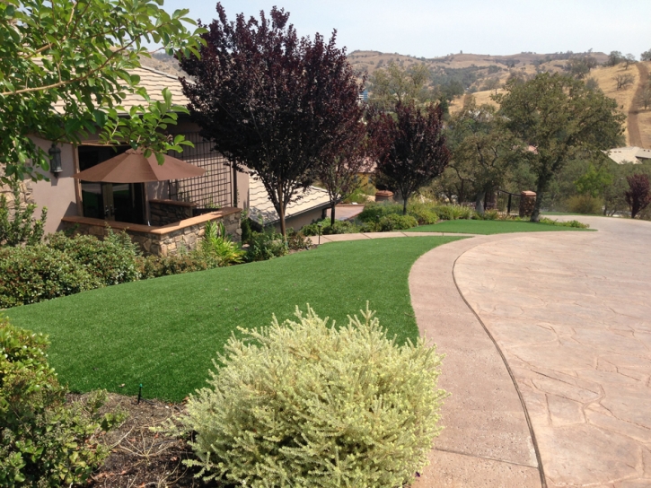 Outdoor Carpet Williamston, Michigan Lawn And Landscape, Small Front Yard Landscaping