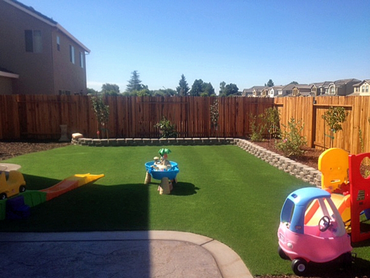 Plastic Grass Wolverine Lake, Michigan Playground Turf, Backyard